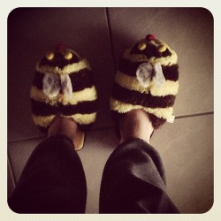 Bumblebee slippers! #cold #florida #slippers #bumblebee #stripes