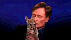 h8-factory:  foxjump:  Conan O’Brien with a coyote pup.  He