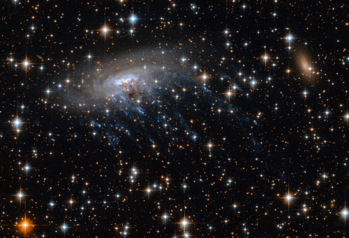 space-pics:  A “Jellyfish” Galaxy Swims Into View by NASA