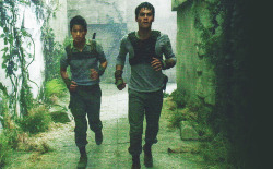 flarenewton:  new photos from The Maze Runner 