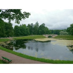 #Carp #pond & Carp #bridge  #Palace #park, #Gatchina, #Russia