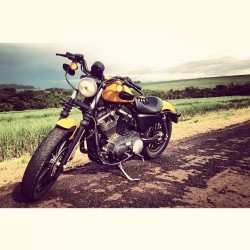 maskeranacustom:  Parada pra pose da Preciosa.. #harleydavidson