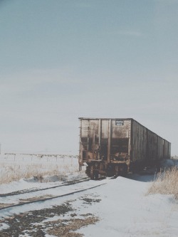 discountable:  (Boxcar by Shantel) Nature/Vintage 