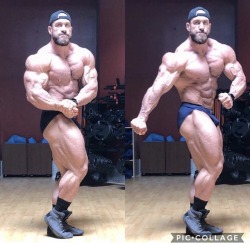 Antoine Vaillant 