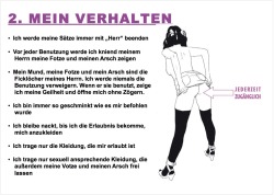 academy2:  Slave Manual german/english, Part 2 