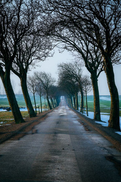 plasmatics:  Stay on these roads by Fredrik Palm 