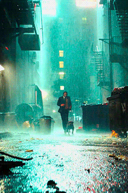 transfemmefatale: John and his dog in John Wick: Chapter 3 (2019)