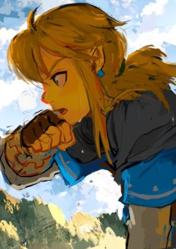 rvkingu:  The Legend of Zelda - Breath of the Wild - HI everyone!