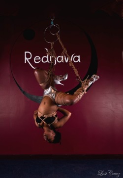 ropecat-cyanide:  A compression tie in a suspension at Rednawa