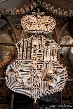 Coat of arms of Schwarzenberg family in Sedlec Ossuary in Kutná