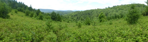 Appalachia - Blue Ridge Parkway - rideg summit view