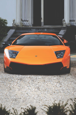 classyhustler:  Murcielago Super Veloce | photographer 