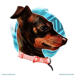 shirsack:  Pet Portrait done for a friend/Mother of a friend/Adoptive-mother-of-stray