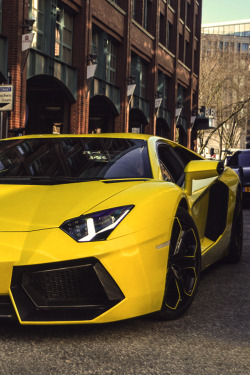 classyhustler:  Lamborghini Aventador | photographer 