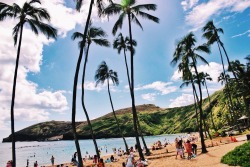simplistatic:  Throwback to my trip to Hawaii during Winter.