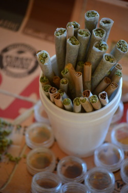 incredible-kush:  Cup of doobies please! 