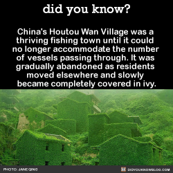 did-you-kno:  China’s Houtou Wan Village was a  thriving fishing