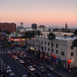 vanish:  Hollywood Boulevard by Luis Gutierrez  