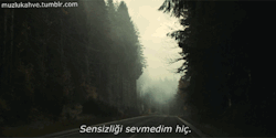 muzlukahve:  Hiç.