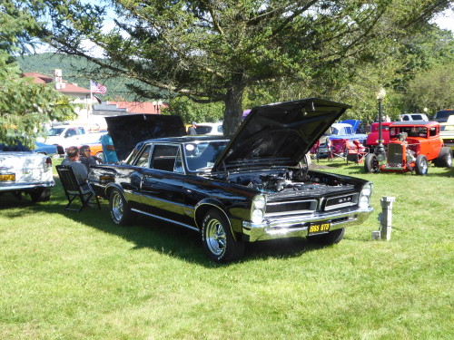 fromcruise-instoconcours:  Pontiac GTO, one of GM’s most iconic