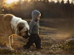 jacgomes:  photography | via Tumblr on We Heart It - http://weheartit.com/entry/63646153/via/jacquelinegomes