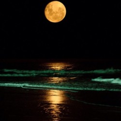 luna-eli:  This is just AMAZING!!! 😱😍 (From the Beach)