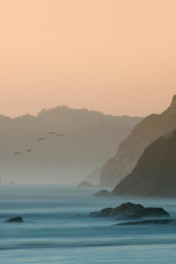 visualechoess: Cannon Beach, Oregon - by: Edmund Lowe 