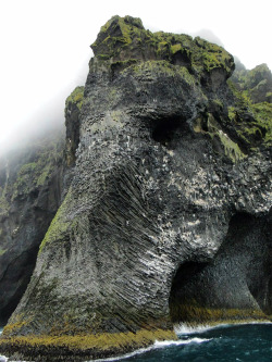 itscolossal:  An Elephant Appears to Emerge from a Cliff Face
