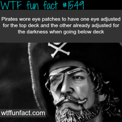 wtf-fun-factss:  why did pirates wear eye patches? - wtf fun