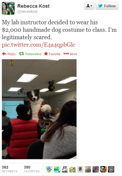 strigays:  muscleluvr2:  this is a 2000 dollar fursuit  honey