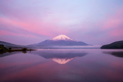 fuckyeahjapanandkorea:  Fuji morning glow by shinichiro* 