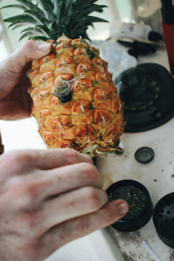cityofpurple:  pineapples aren’t only for eating :)