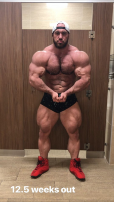 Antoine Vaillant 