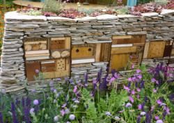 biodiverseed:  biodiverseed:  Insect Hotels Over 30% of solitary