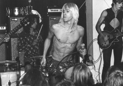 superblackmarket2:  The Stooges at Max’s Kansas City photographed