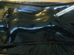 rubberdog76:  Me in my vacuum bed…. New experience the other