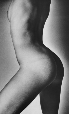 fragrantblossoms:  Jeanloup Sieff, from Best Nudes, Vol. 5, 1979