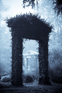 hueandeyephotography:Doorways in the Mist, Meditation Garden,