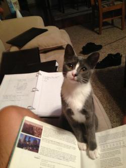 omgbuglen:  al-grave:  she does this when she thinks I’ve studied