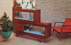 1950sunlimited:   Ultra cool fish tank 