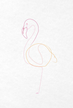 mini-q:  One line flamingo