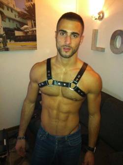 Nipples and harness