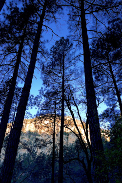 hueandeyephotography:  Morning Light, Oak Creek Canyon, Sedona,