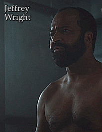 el-mago-de-guapos: Jeffrey Wright Westworld (2018) 2x10 ft. Evan
