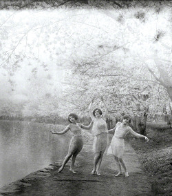 maudelynn:  Cherry Blossoms & Dancers at Tidal Basin, Washintgon