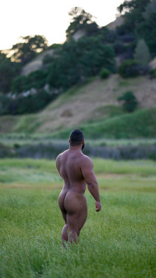 noodlesandbeef:  Lots of running through fields naked.  Beautiful