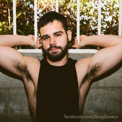 letsadonisbear:  View Full Post on “You Gay Bear” See More