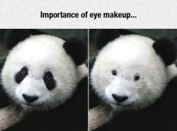 advice-animal:  Why Eye Make-Up Is Importanthttp://advice-animal.tumblr.com/