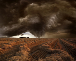 magicalnaturetour:  Harvest Time Photo Series by Franz Schumacher