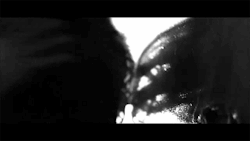 Gifs | Erotica | Masks